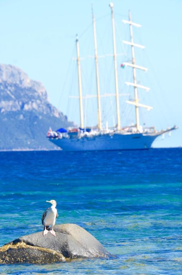 Casavacanza Golfo Aranci Buitenkant foto