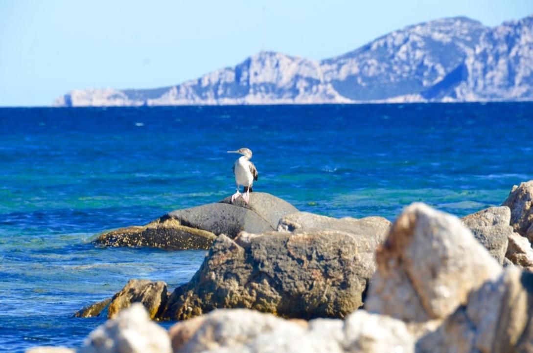 Casavacanza Golfo Aranci Buitenkant foto