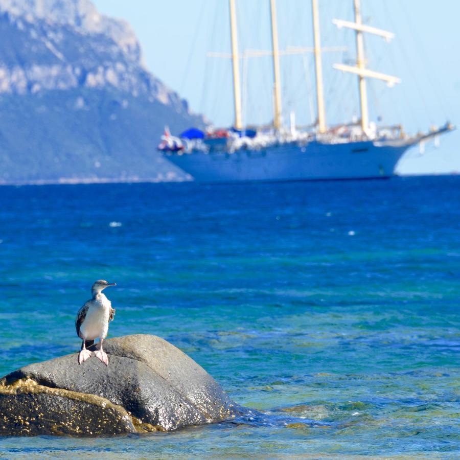 Casavacanza Golfo Aranci Buitenkant foto