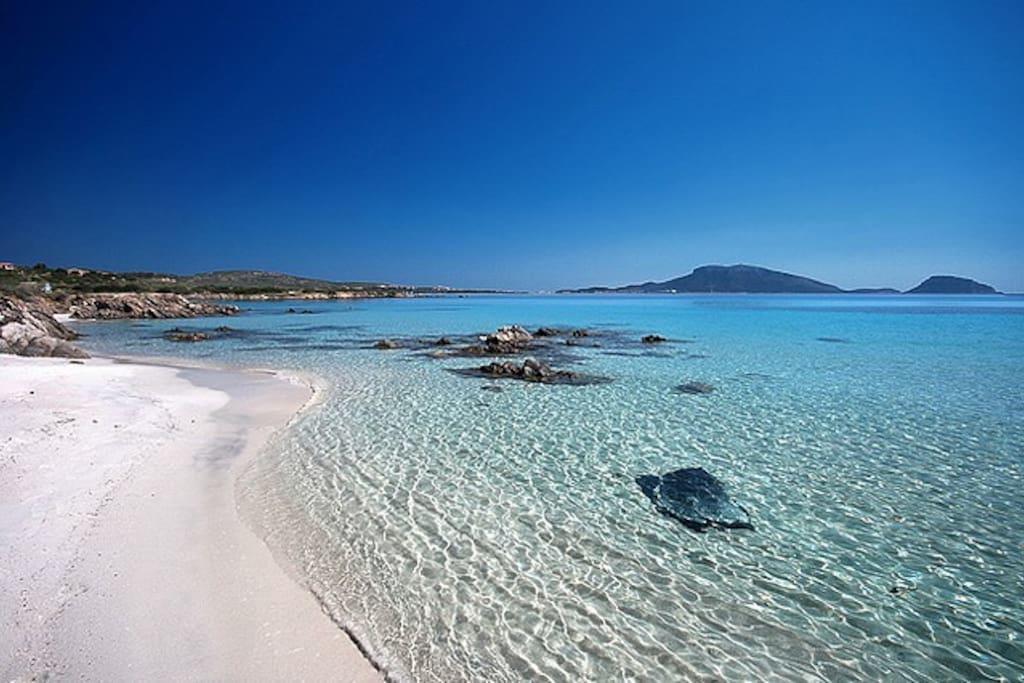 Casavacanza Golfo Aranci Buitenkant foto