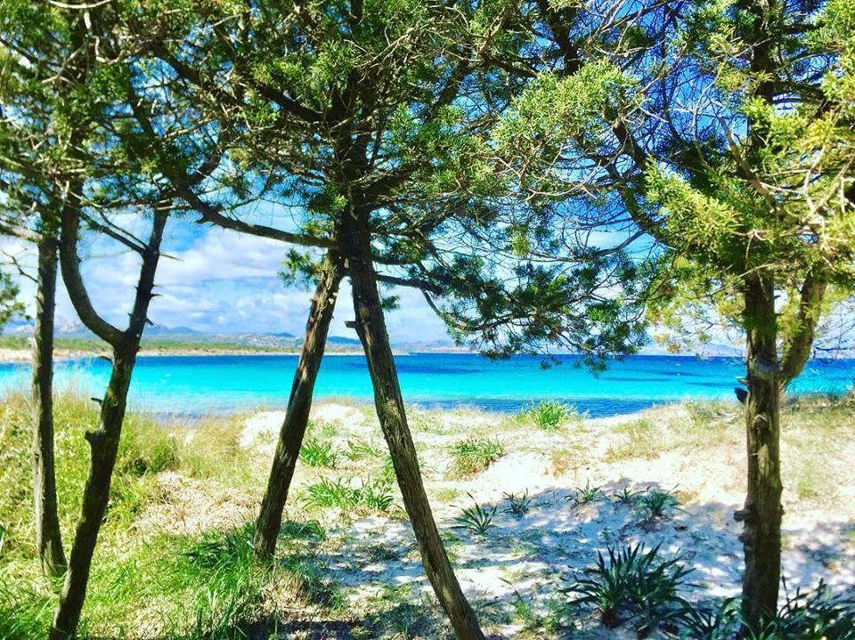 Casavacanza Golfo Aranci Buitenkant foto